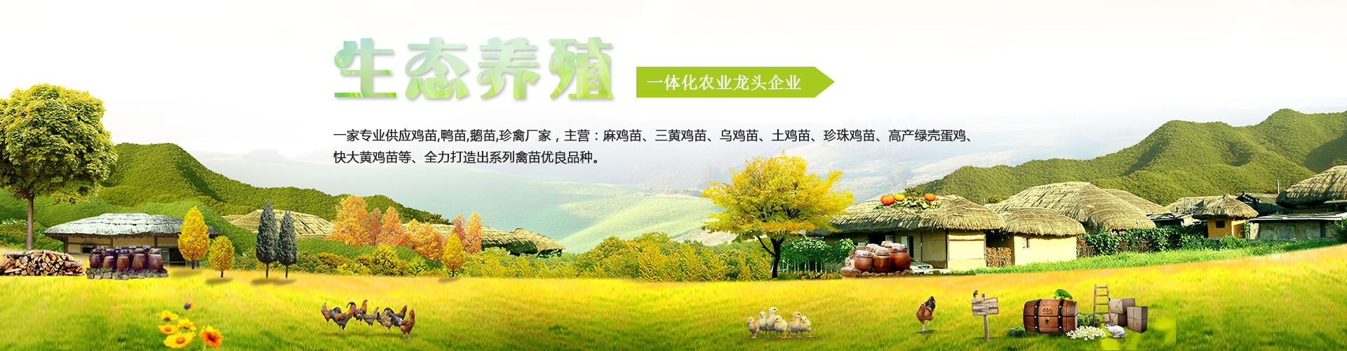 廣州惠民禽業有限公司