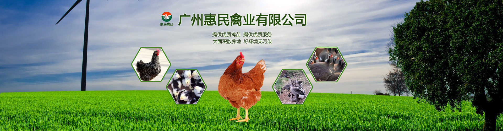 廣州惠民禽業有限公司