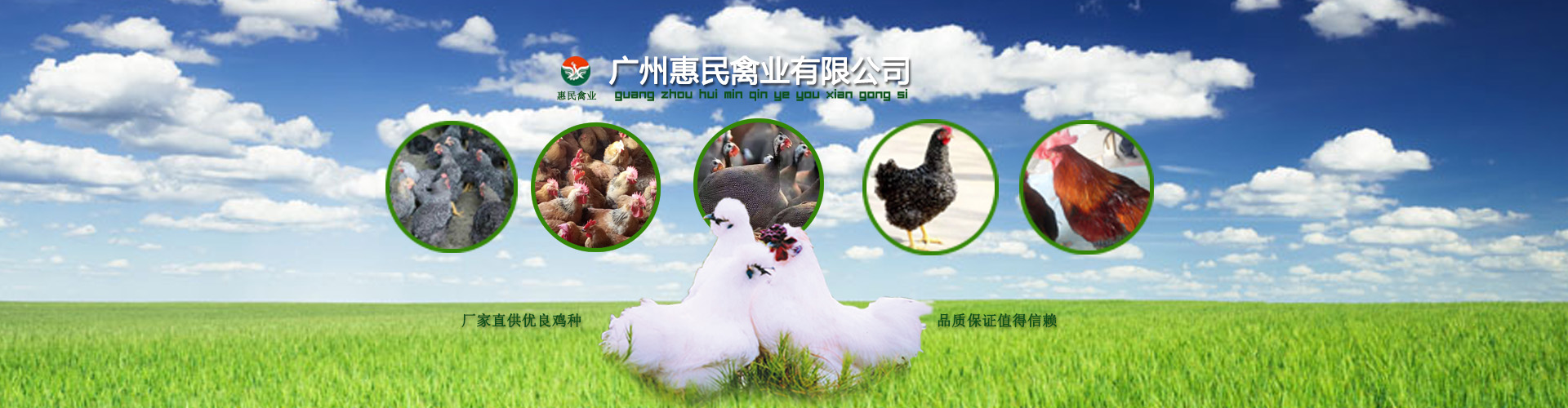 廣州惠民禽業有限公司